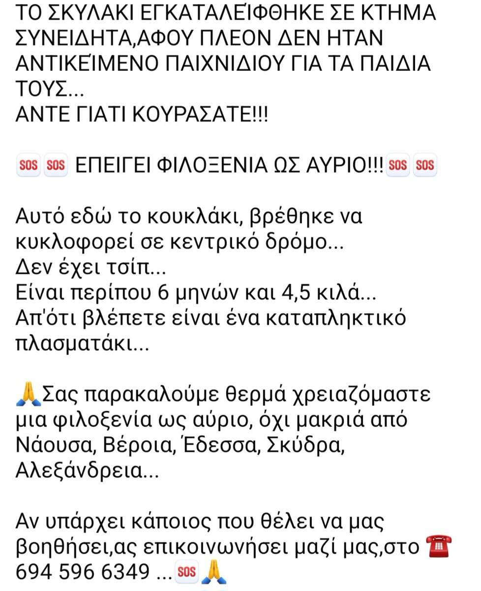KatKatPt's tweet image. 🆘️🆘️🆘️
Αυτή η ψυχούλα βρέθηκε να κυκλοφορεί σε κεντρικό δρόμο αφού εγκαταλειφθηκε σε κτήμα 
6 μηνών 4.5 κιλά
Επείγει φιλοξενία αποκλειστικά σε περιοχές Νάουσα,Βέροια,Έδεσσα,Σκύδρα,Αλεξάνδρεια
Rt 🙏 🙏 🙏