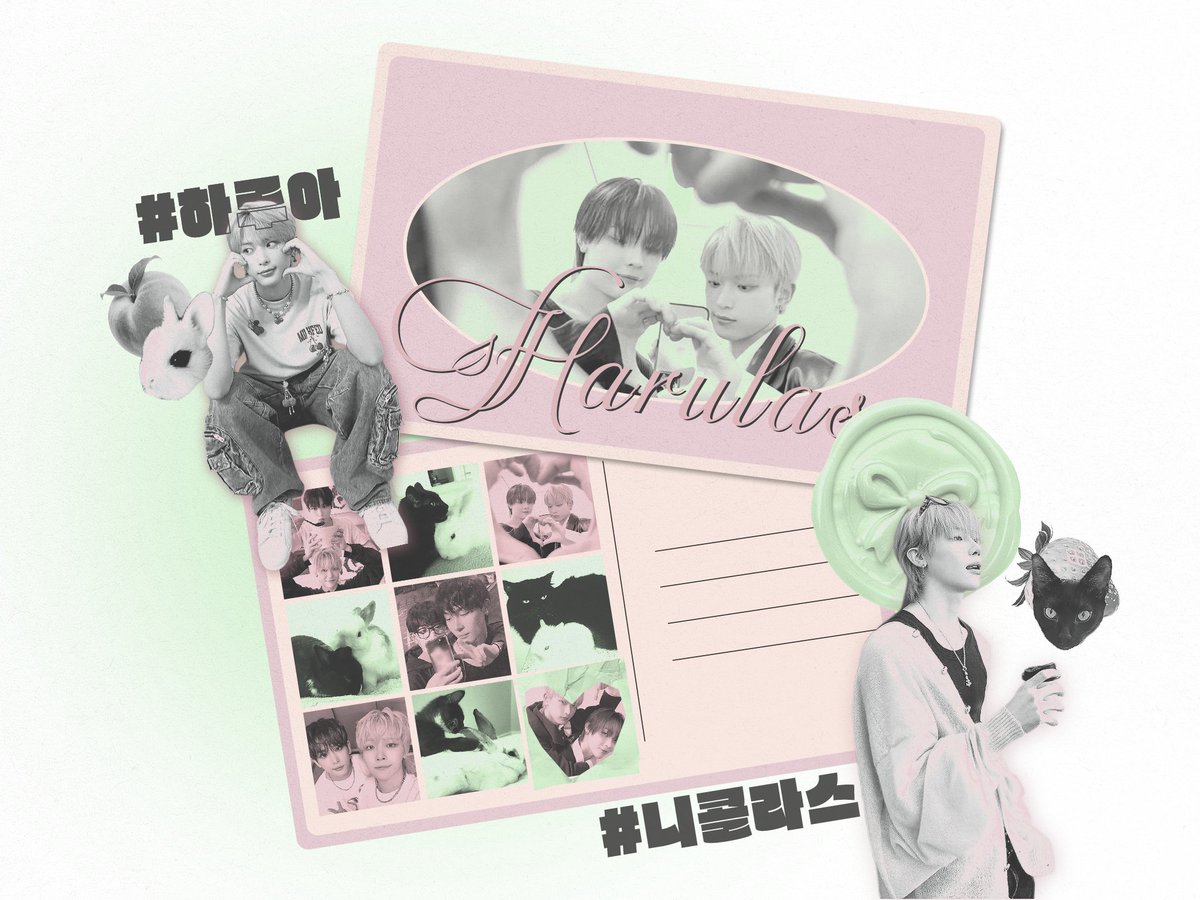 for harulas tweet media