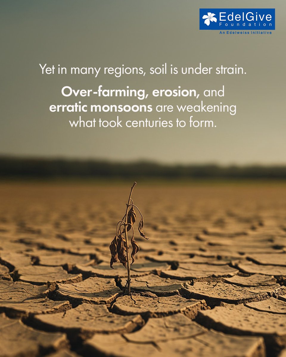 EdelGive Foundation tweet media