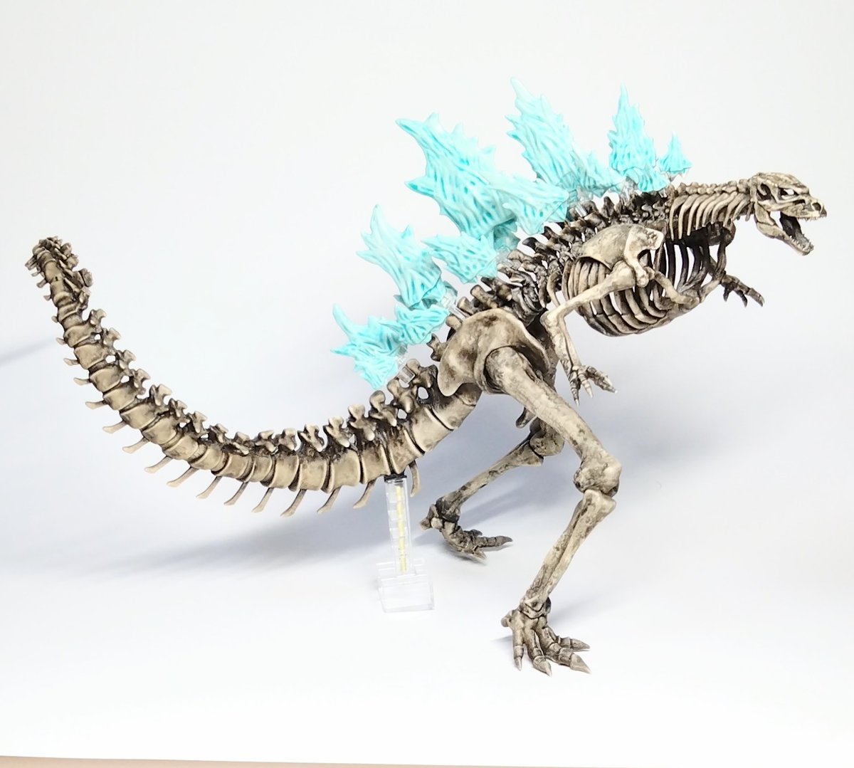 Myamo365's tweet photo. ゴジラの骨
#ゴジラ #Godzilla #バンダイ
＃タムタム相模原店2025冬のプラモ展示会 https://t.co/zlPBEWhzdu