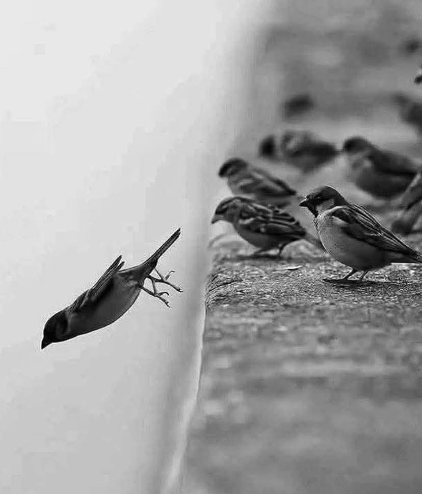 اهجر كل ما يؤذيك ، ولا تلتفت ."