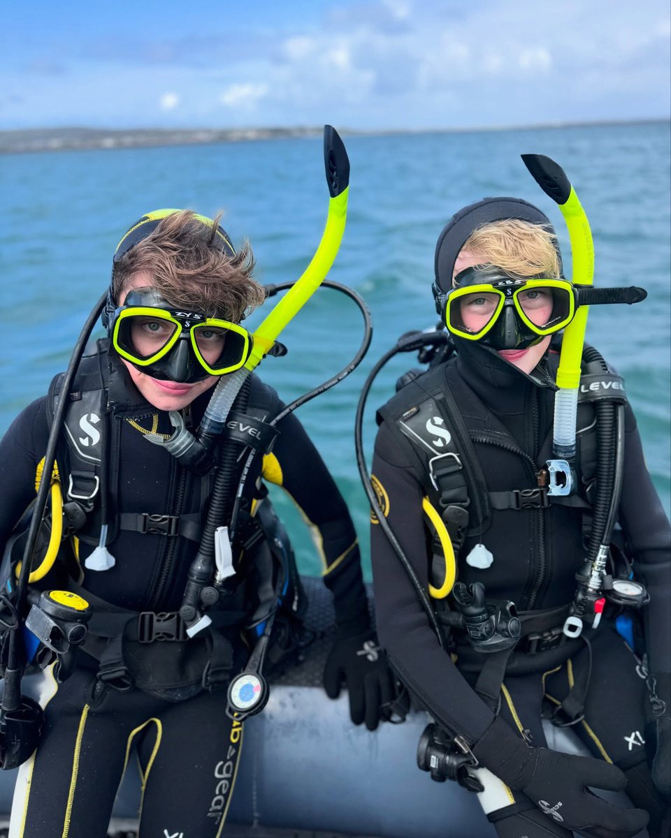 DiveAran tweet media