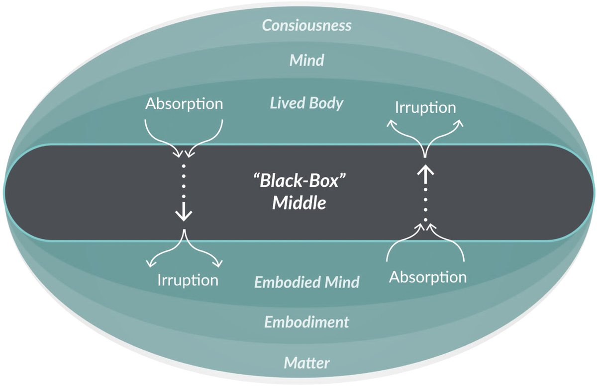 Tom Froese, Embodied Cognitive Science Unit (ECSU) tweet media