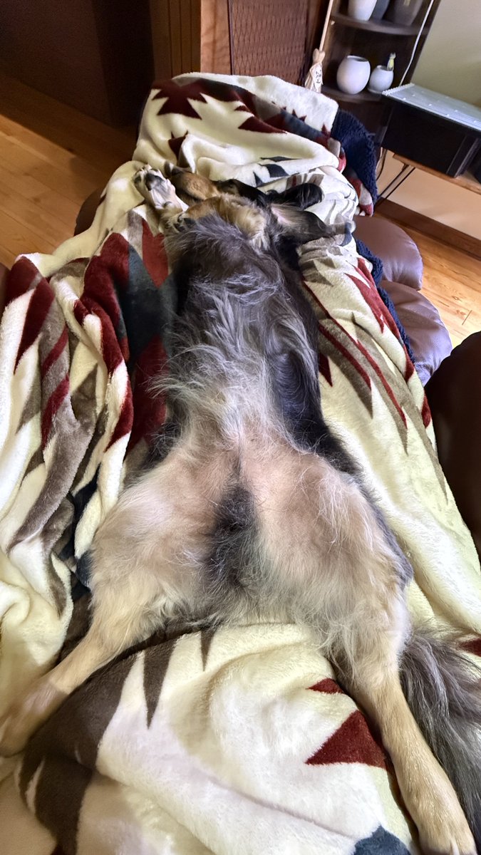 ball183python's tweet image. 幸せそうでなにより☺︎