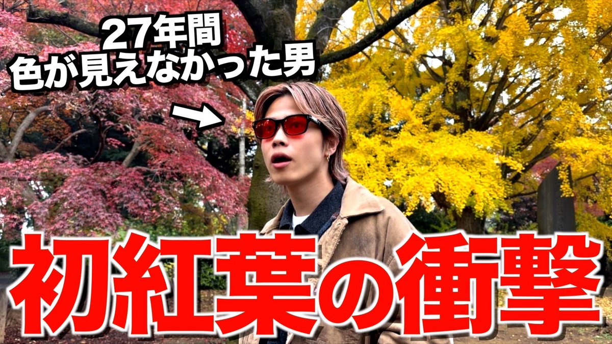 Comyoutuber2's tweet photo. 【感動】27年間色が見えなかったやまとに色盲メガネプレゼントして紅葉見に行ったら衝撃的な結末に...
https://t.co/Z6k71PMHQO
27年間人とは違う色の見え方が違っていたやまとが色覚補助メガネをかけて人生初の紅葉へ🍁
自然の美しさに言葉を失うやまとに注目です👀 https://t.co/RbDCH8di0W