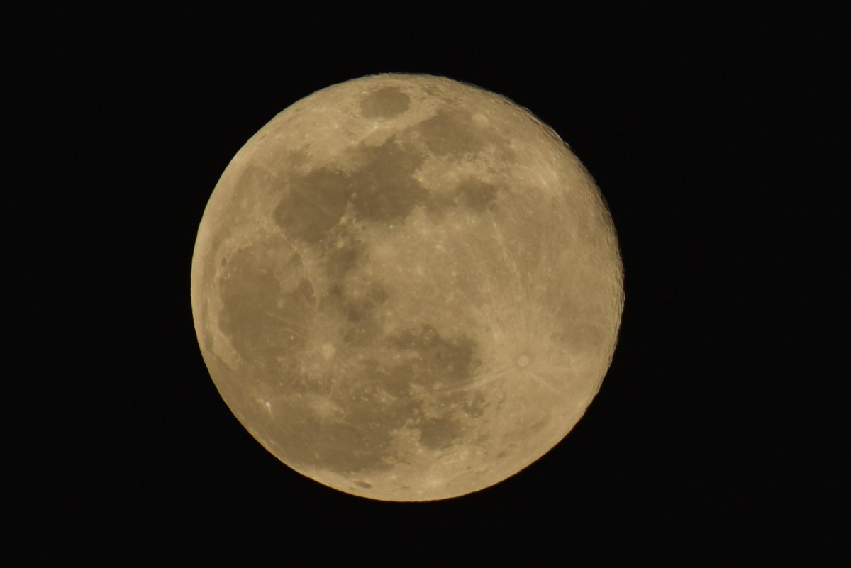 Titipol Phakdeewanich tweet media