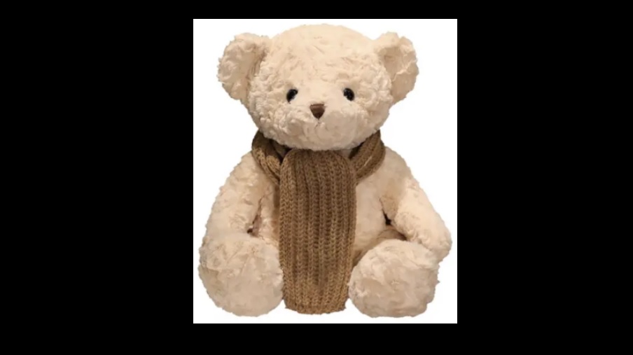 Un corto sobre palmeras de Buenos Aires - la nueva columna de <a href="/juanterranova/">Juan Terranova</a> en hipercritico.com