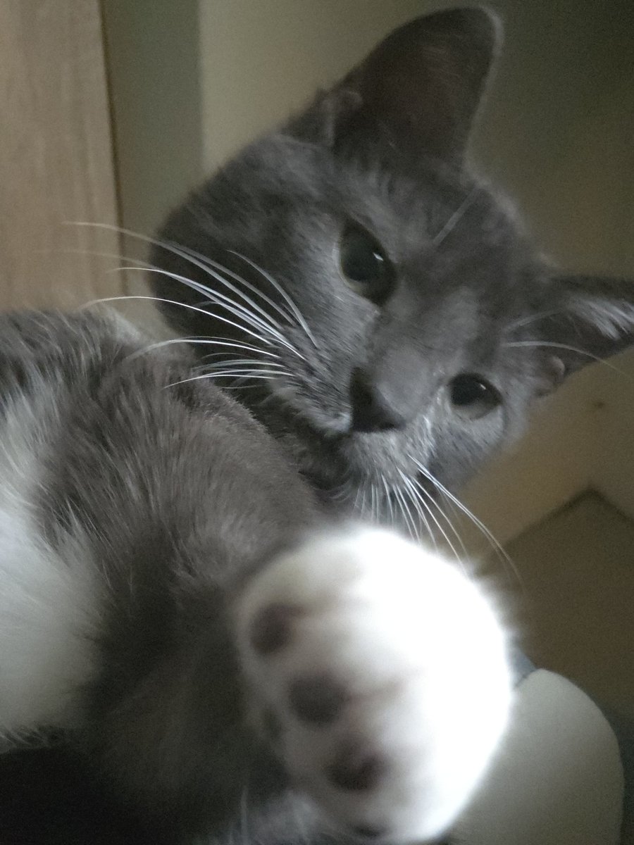 Y’a qu’une antillaise qui pour te regarder comme ça avant de te frapper