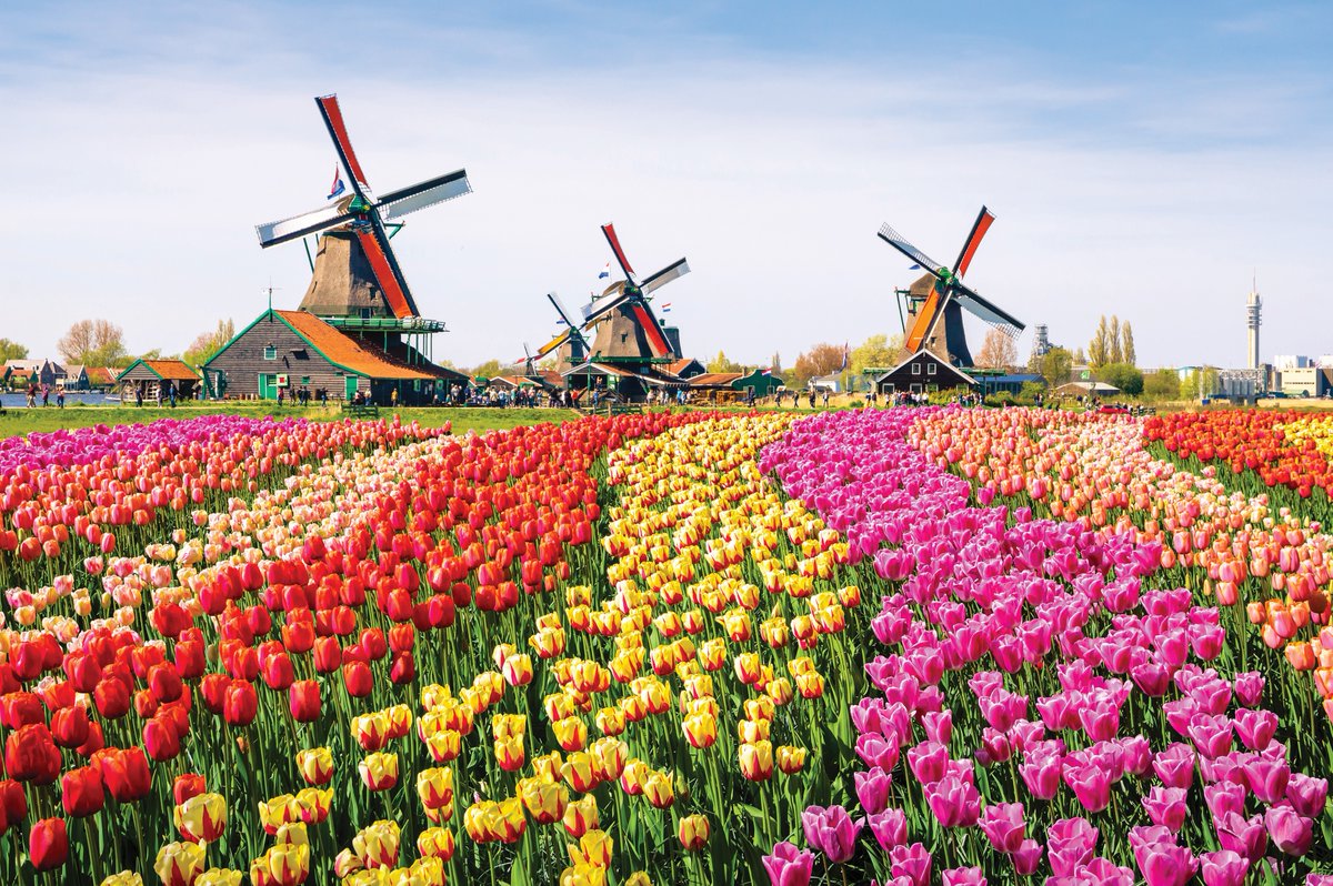 It's easy to discover the beauty of The Netherlands' spring time colours with direct flights to Amsterdam.

Visit the country's famous bulb fields &amp; the fabulous Keukenhof gardens.

Find out more and book your escorted tour today - bit.ly/485SUTW🌷🌷

#FlyNorwich #Travel