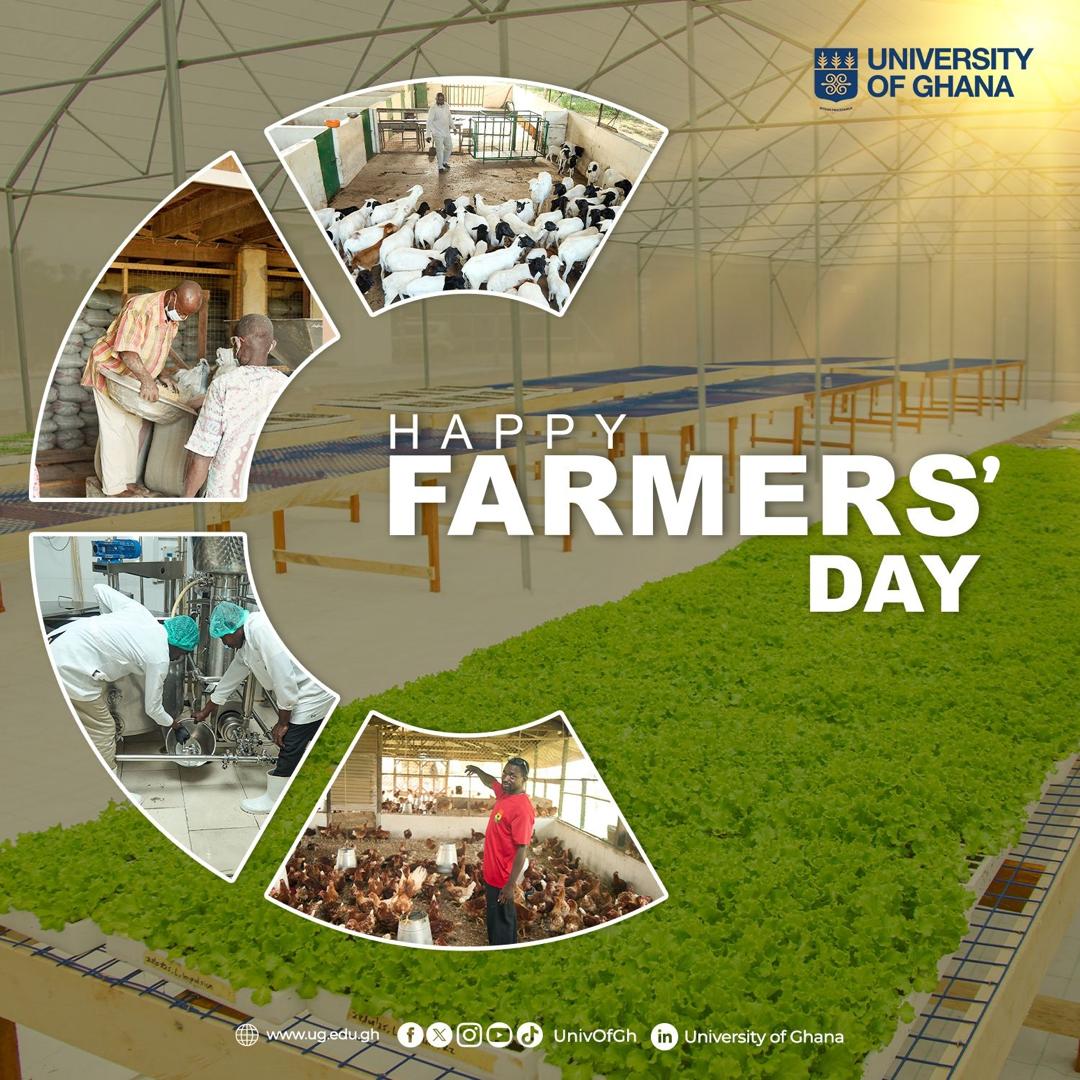 The University of Ghana thanks all farmers &amp; agricultural stakeholders for their contributions as the nation marks #FarmersDay.

Special appreciation to staff at our farms &amp; centres: LIPREC, SIREC &amp; FOHCREC. Wishing you abundant harvests &amp; lasting impact!

#IntegriProcedamus