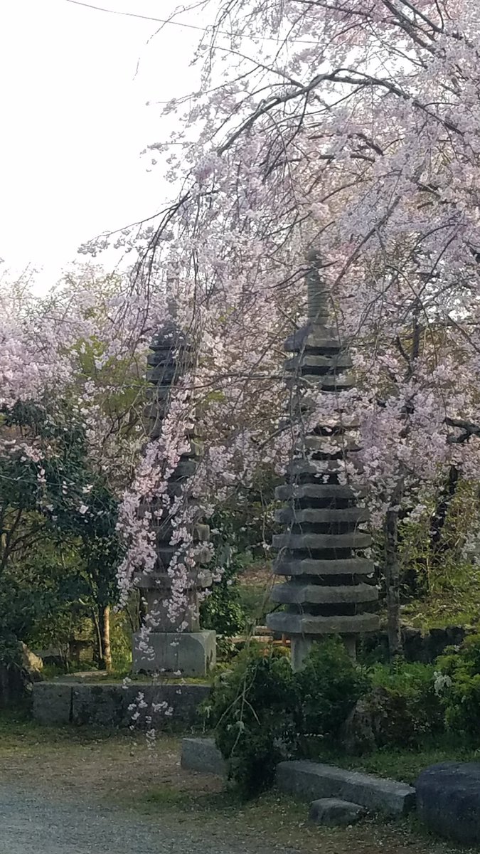 hikari🐰 (@hikari705) / Posts / X