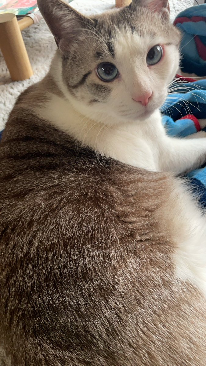 いまどうしてる？