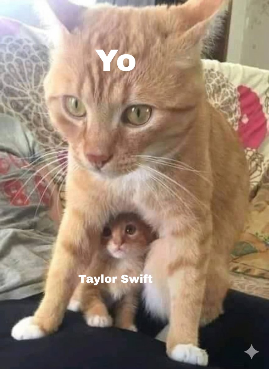 KarmaIsACat_5's tweet photo. Yo defendiendo a mi súper estrella pop billonaria https://t.co/aYuroMPcto