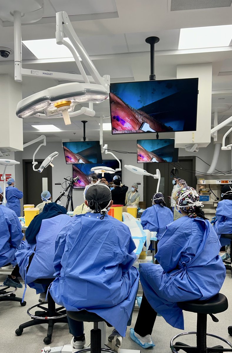 Privileged to take part in the maxillofacial cadaver workshop in Bahrain an outstanding opportunity to deepen and refine head and neck surgical approaches. It was also an honor to meet the Ambassador of Saudi Arabia to Bahrain. Grateful to all the faculty for their guidance🇸🇦🇧🇭💀
