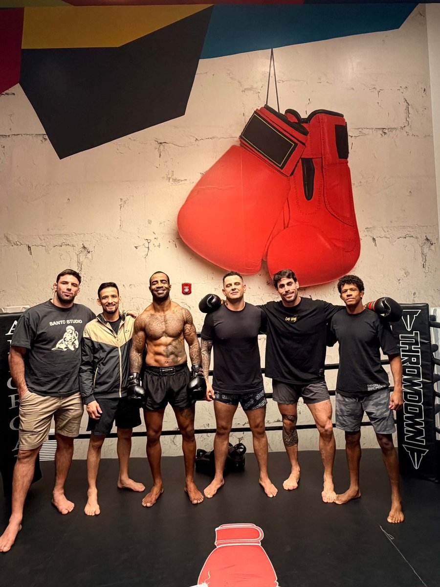 コスモアレキサンドレ懐かしい