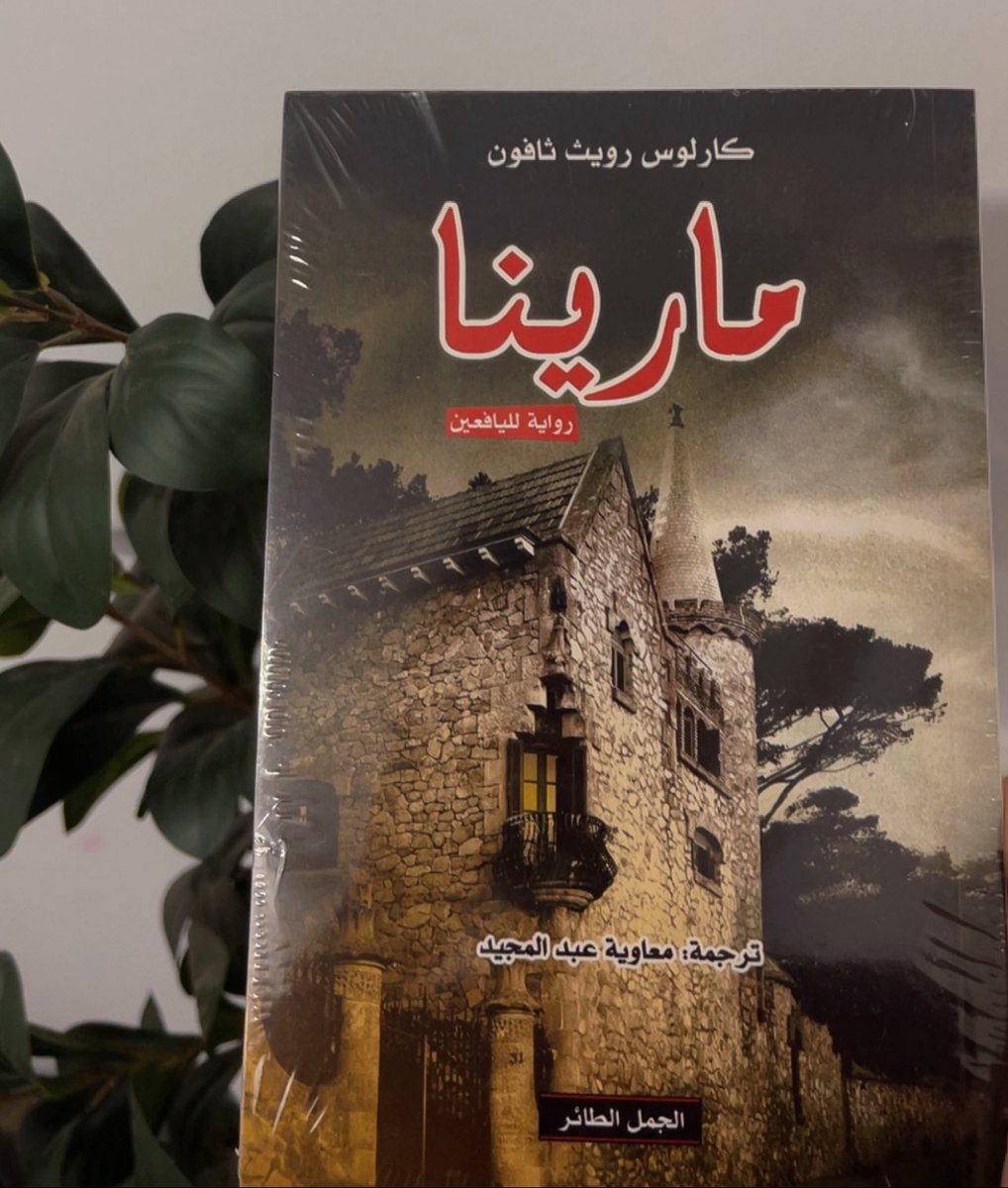 مرام 🌱 tweet media