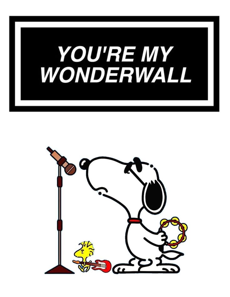 snoopyb047's tweet image. 