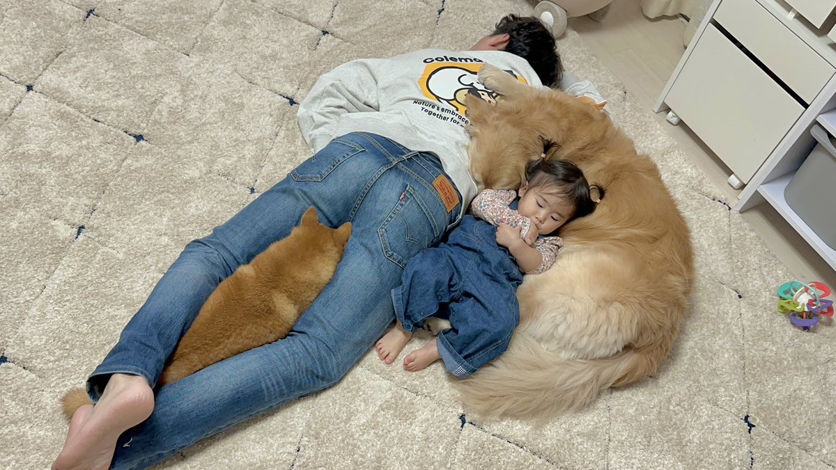 めめこ (@memekoEX) / Posts / X