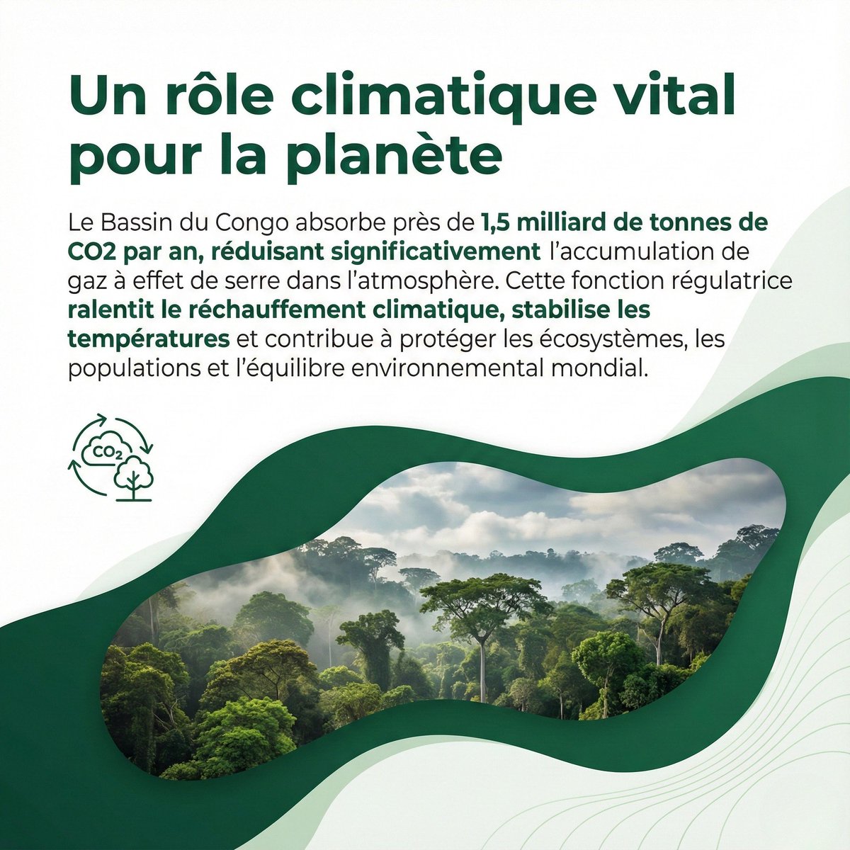 Ministère de l'Environnement et du Climat tweet media