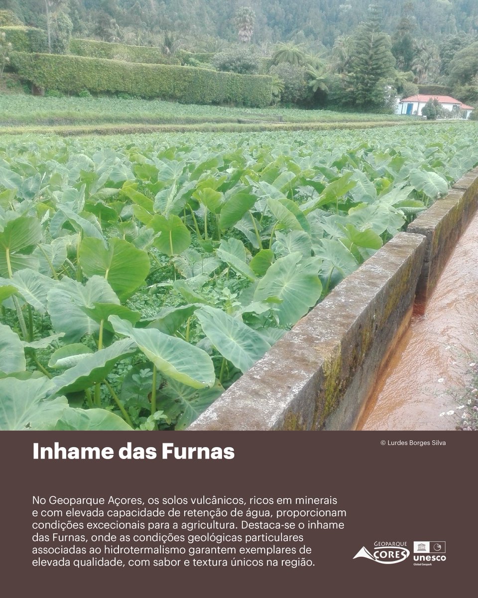 Geoparques UNESCO – Portugal tweet media