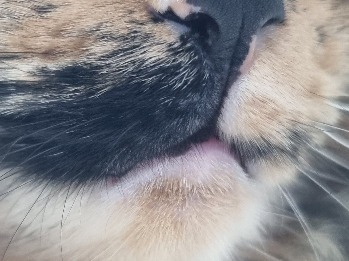 뽀용한걸 찍었어요