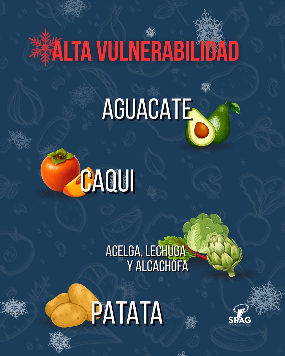 spag_es's tweet photo. ❄️ Diciembre cierra el año y aumenta el riesgo de heladas.
Cítricos, brócoli, lechuga o caqui están en plena campaña, pero cultivos como aguacate, caqui, alcachofa o limón son especialmente vulnerables.
🌱 Proteger el campo en diciembre es clave. https://t.co/YxyJHWT3Et