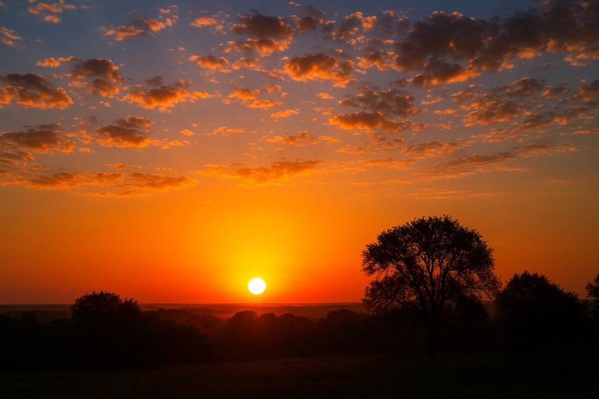 PinnedTillo's tweet photo. Good morning, CT
Rise, grind, and own today. Energy up, focus sharp, let’s make it count! https://t.co/y4YEHePkfu