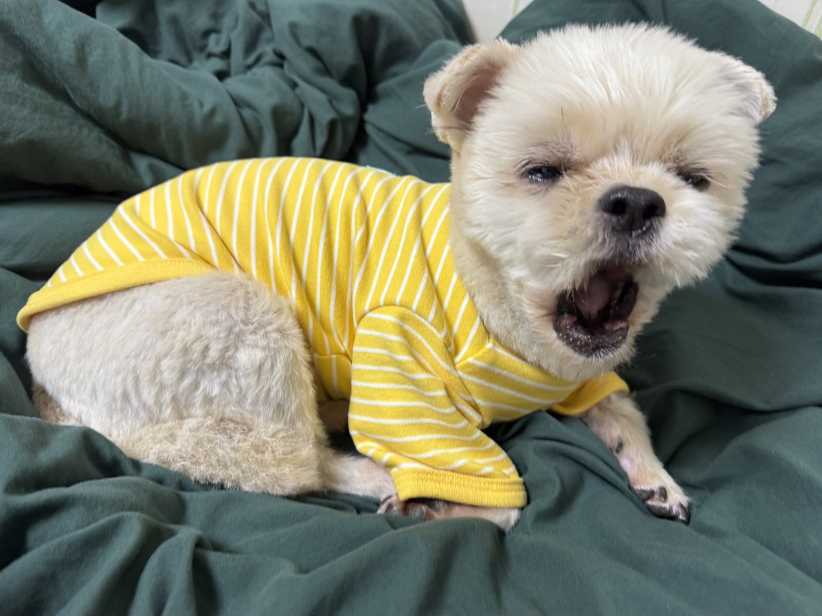 김몬드 tweet media