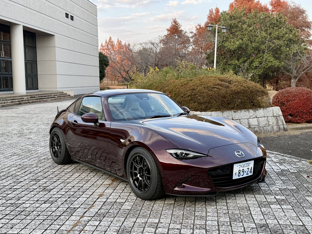 ハリーさん🦔 tweet media