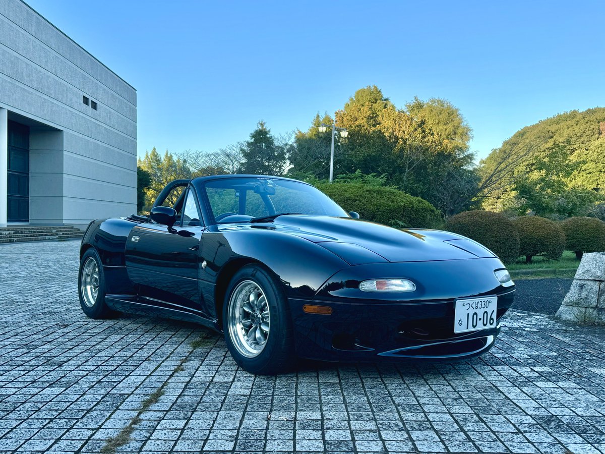 ハリーさん🦔 tweet media