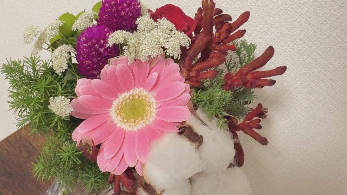 teinoo__o's tweet photo. ぷるさまの誕生日にってもらったよ🐕 https://t.co/3W6vLW1Fdb