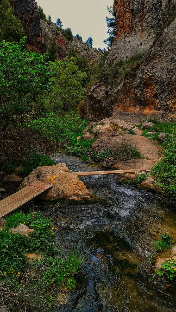 LinZeSp's tweet image. El tiempo va limando los bordes,
y la luz, sin darse importancia,
acaba encontrando 
por dónde entrar.
Yo sigo adelante, a mi modo,
porque hasta los días que pesan
terminan dejando ver 
algo de claridad.
Muy buenos días a tod@s 🌞☕✨🌹