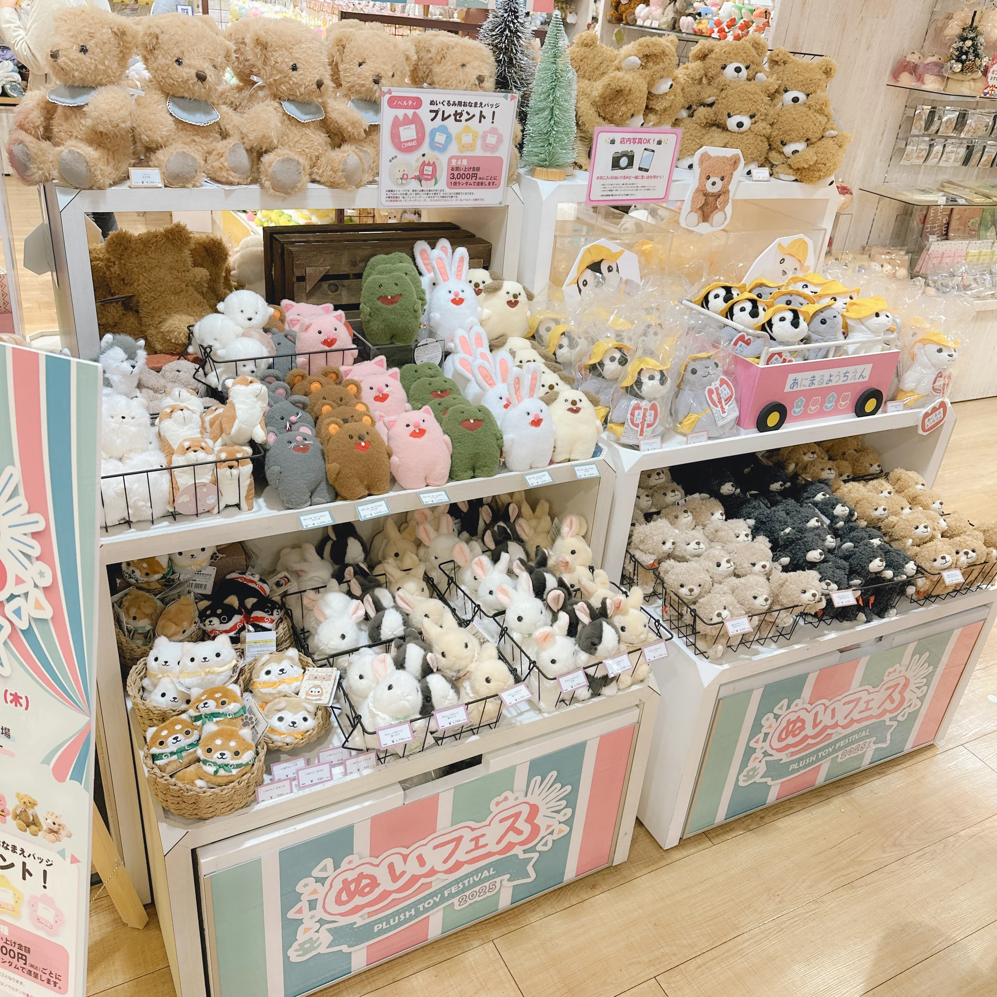 ぬいフェス』公式アカウント on X: 