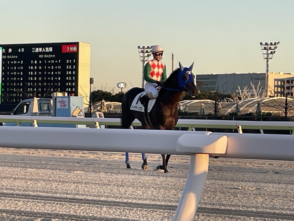2025年12月5日 大井競馬場🐎 4R 矢野貴之騎手✨ #大井競馬 #馬 #南関