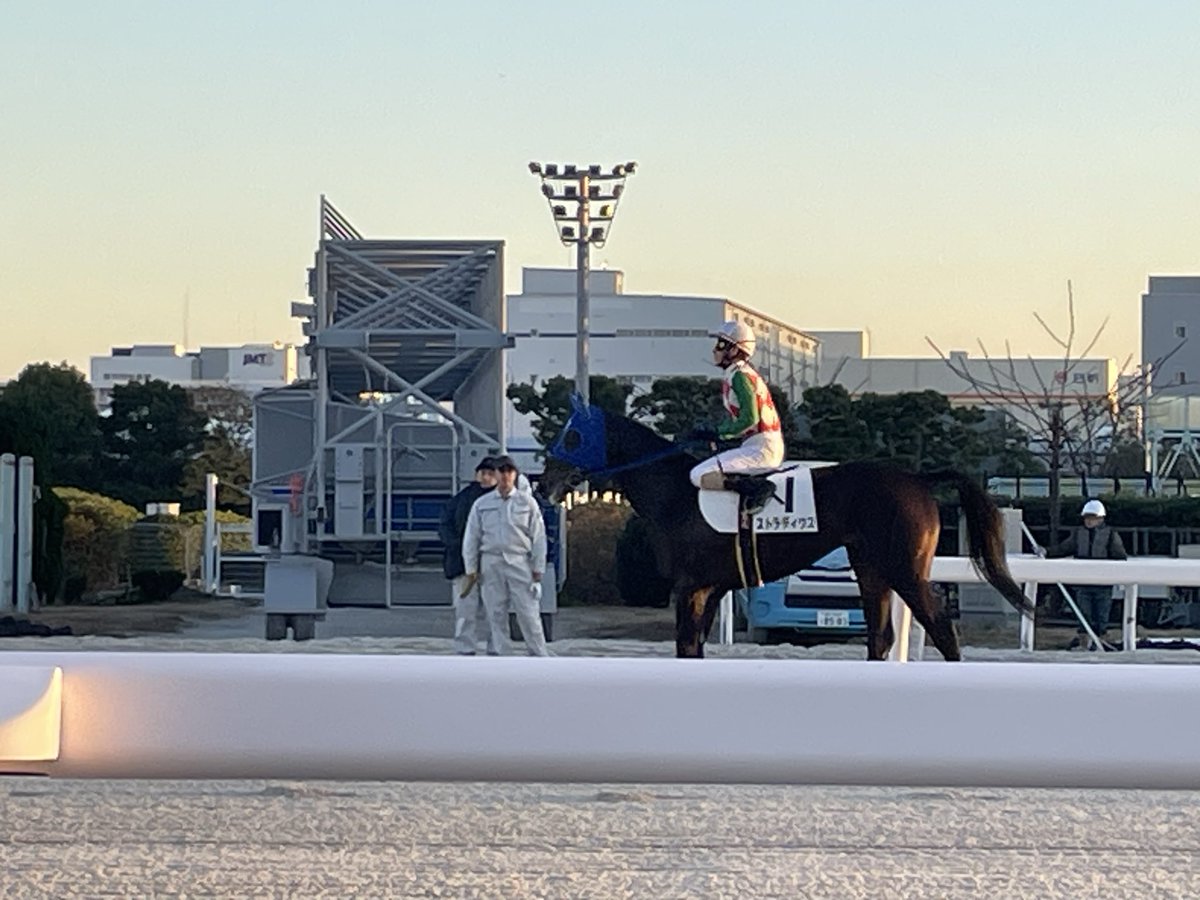 2025年12月5日 大井競馬場🐎 4R 矢野貴之騎手✨ #大井競馬 #馬 #南関