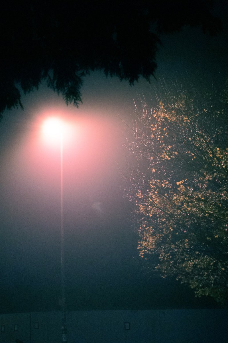 emilybakerphoto's tweet image. GM everyone ☕