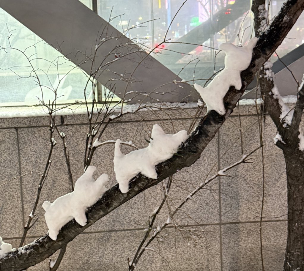 다같이보면 더 귀여와요