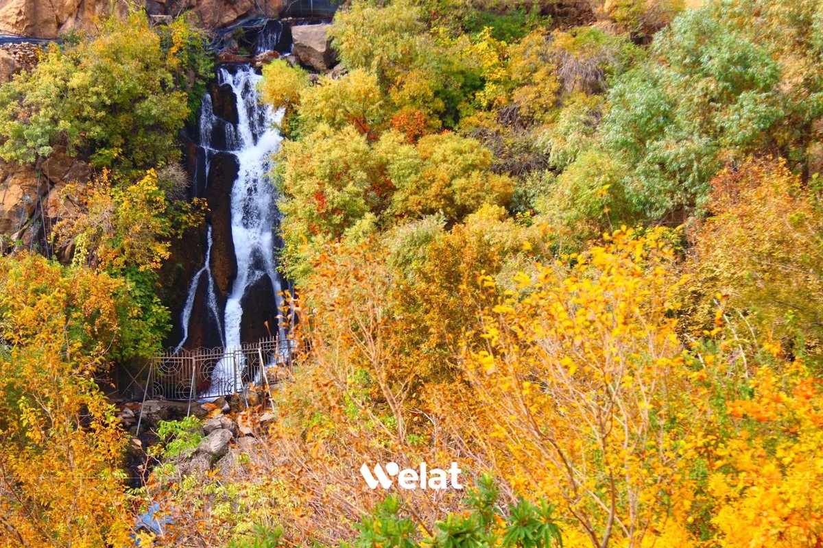 WelattvKu's tweet photo. 📷 Dîmenên ciwan ji Sulava Zelm li devera Hewraman ya Kurdistanê
#Kurdistan
#Hewraman
#Sulav
#WelatTV https://t.co/kBIDdJp81P