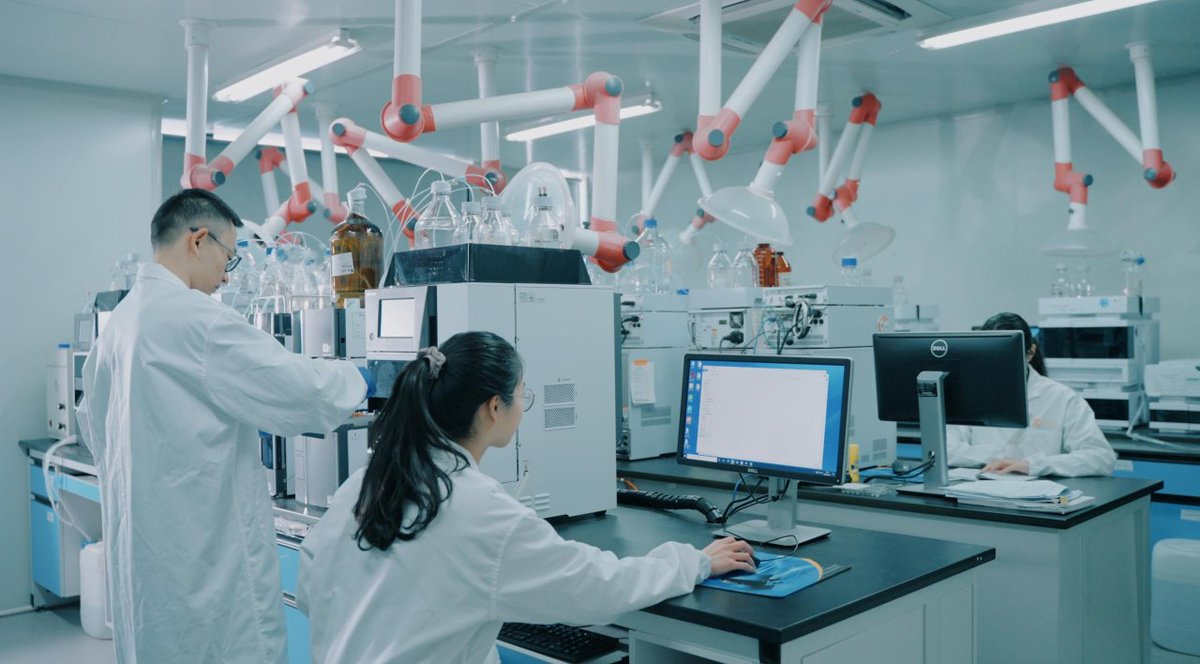NingdeCity's tweet image. 📈🧺The taizi #ginseng industry in Zherong county, #Ningde, has shifted from simple trading to include cultivation, pharmaceuticals, and liquor production, driving innovation in Zherong's health and wellness sector. #TheGloriesofNingde #TheGloriesofNingde