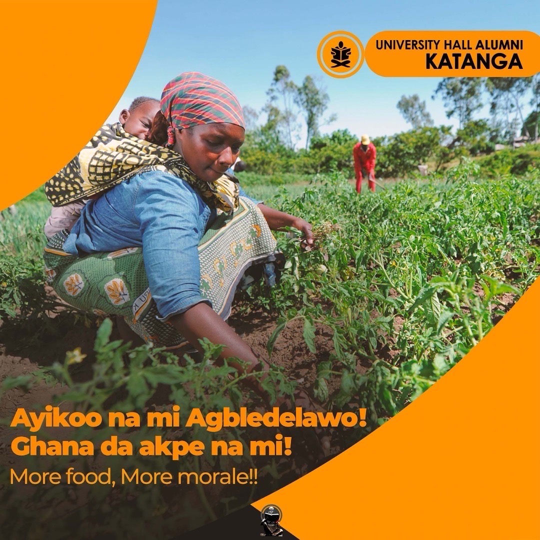 Ayekoo to the real MVPs of the land! More food, more morale!!🖤💛
👨‍🌾🐓🐖🐐🚜🌾

#KatangaAlumni #RestNot #KNUST #FellowsCharge #TGIF
