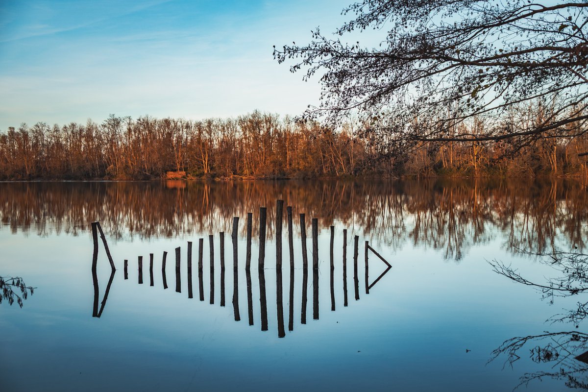 😌 Avec les températures qui s'adoucissent dans le Roannais, c'est le moment parfait pour s'offrir une belle échappée nature.

🦆 Profitez-en pour vous ressourcer à la Gravière aux Oiseaux. Un cadre idéal pour une balade au calme.