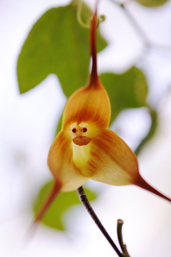 \[V}KWwRXfBAhbgR!!x:ŐV𐏎XV!!