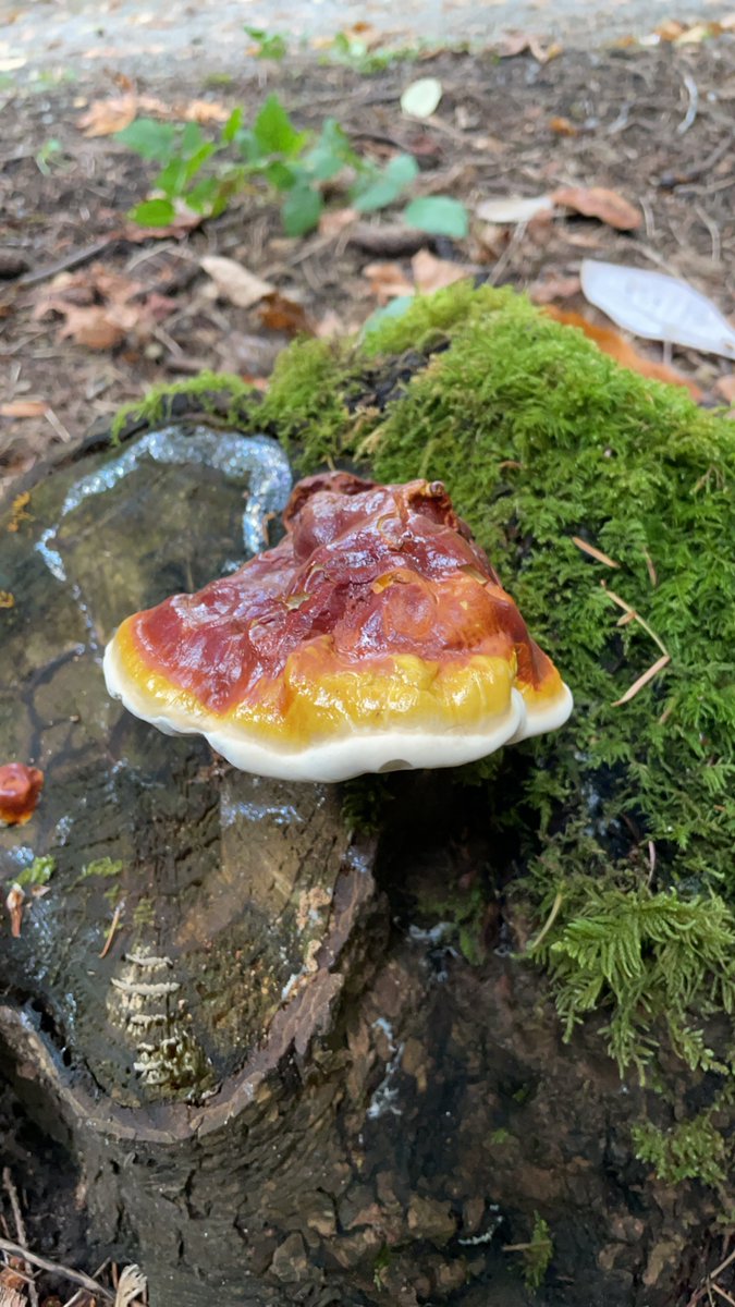 TokenPhysicist tweet media