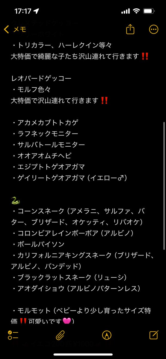 Eidechse_07's tweet photo. 12/7
エキスポも出店します✨

こちらには爬虫類メインで連れていく予定です🦎🐍🐢

こちらも書き漏れ、追加あるかもなので…そして大特価も沢山ご用意してますので
当日ブースにてお待ちしてます‼️

リクエストとかありましたらお気軽にご連絡ください✉️ https://t.co/vYxLWw2SrD