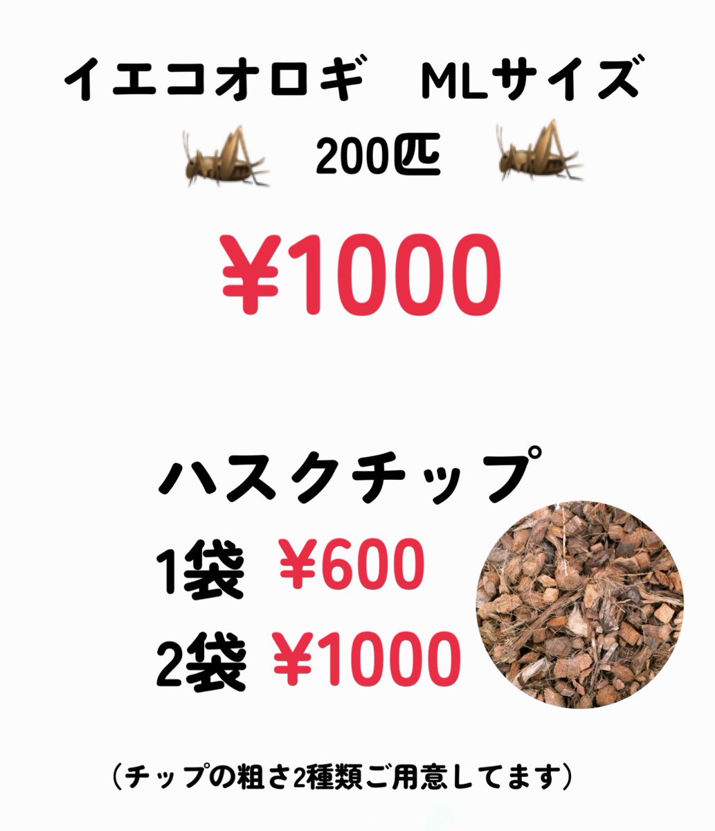 Eidechse_07's tweet photo. 12/7
エキスポも出店します✨

こちらには爬虫類メインで連れていく予定です🦎🐍🐢

こちらも書き漏れ、追加あるかもなので…そして大特価も沢山ご用意してますので
当日ブースにてお待ちしてます‼️

リクエストとかありましたらお気軽にご連絡ください✉️ https://t.co/vYxLWw2SrD