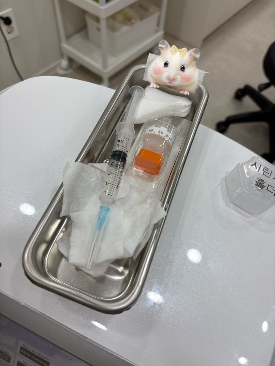 🎀ｼｭｳｲﾁ麻辣湯🎀 tweet media