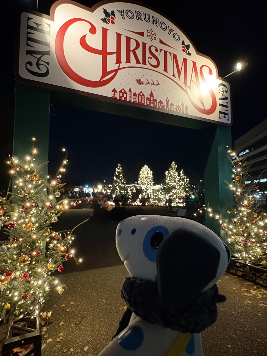 bluedalofficial's tweet photo. 赤レンガ倉庫に向かう道からクリスマスマーケットがスタート🎄
映えスポットがいっぱいだね🐶📸

#TheYokohamaIllumination✨
#ChristmasGate  #新港中央広場
#クリスマスマーケット2025
#日本新三大夜景 https://t.co/oM7gRY5eqh