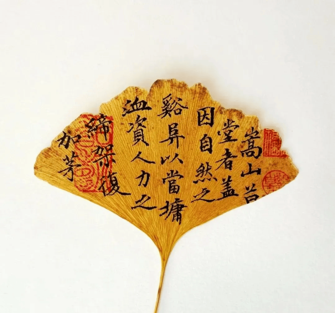abhdhdhdhsa's tweet photo. 周末翻完《夜晚的潜水艇》，像��了趟深海列车——文字是舷窗，每帧都是“把月光揉成碎银”的温柔。读罢合上书，窗外的风都慢了半拍 #读书 #文学随笔 #周末阅读 https://t.co/UnInVpuJrI