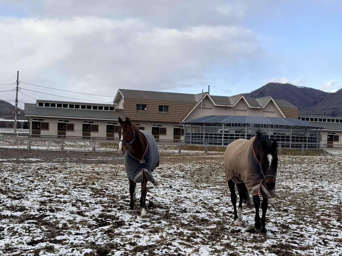 軽種馬育成調教センター