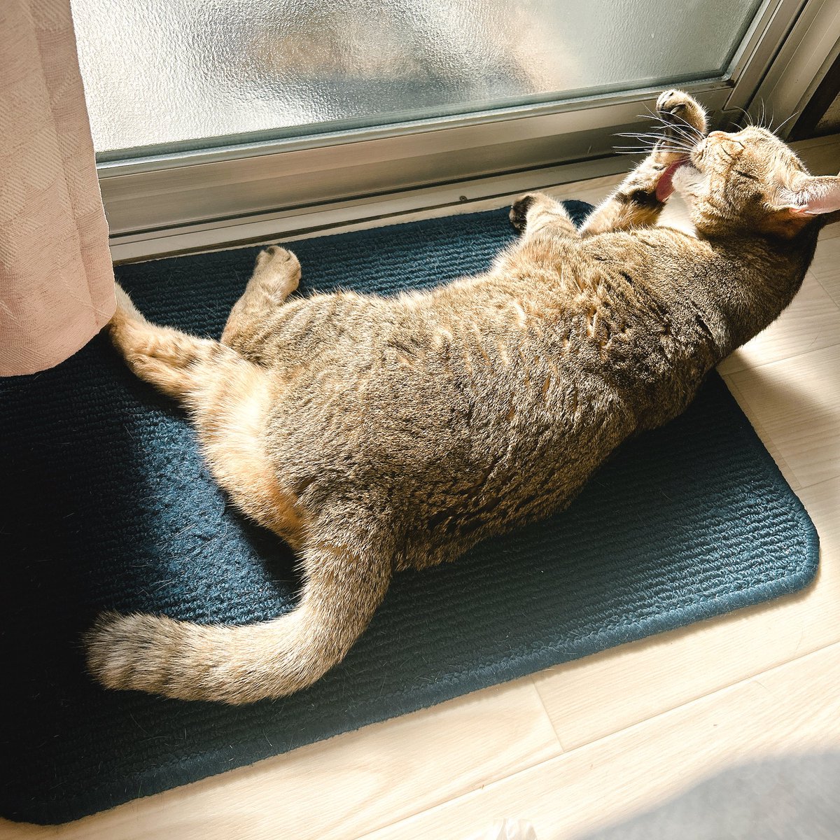 遊馬 (@n_515151) / Posts / X